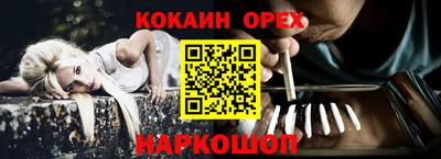твердый Гатчина