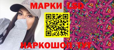 твердый Гатчина