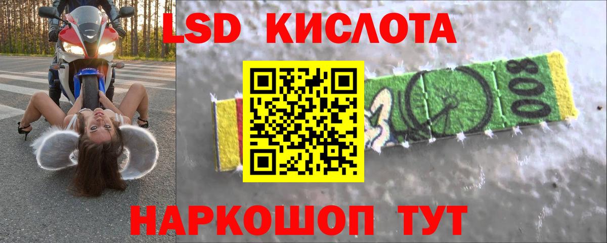 Псилоцибиновые грибы Новоуральск